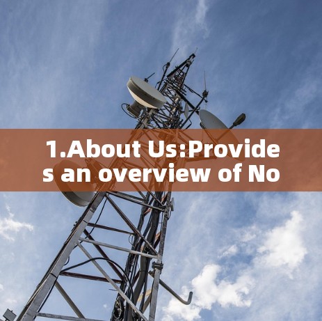 1.About Us:Provides an overview of NordVPN and its mission.