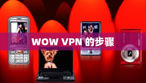 WOW VPN 的步骤