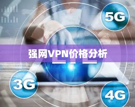 强网VPN价格分析