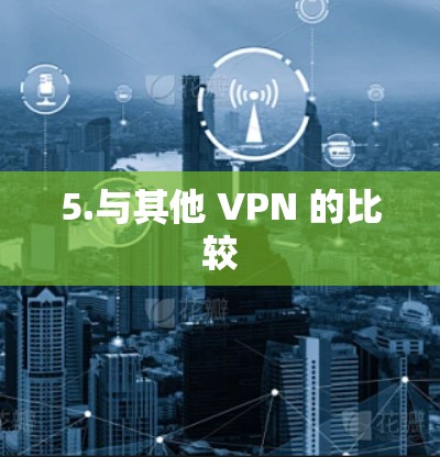 5.与其他 VPN 的比较