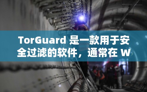 TorGuard 是一款用于安全过滤的软件，通常在 Windows 和 macOS 上可运行。以下是获取 TorGuard 下载地址的步骤