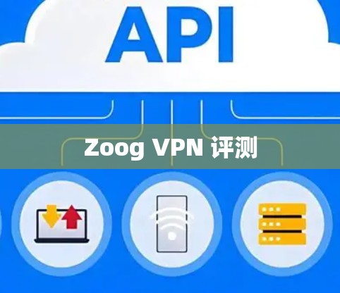 Zoog VPN 评测
