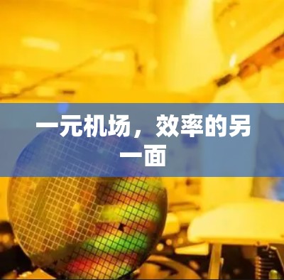 一元机场，效率的另一面