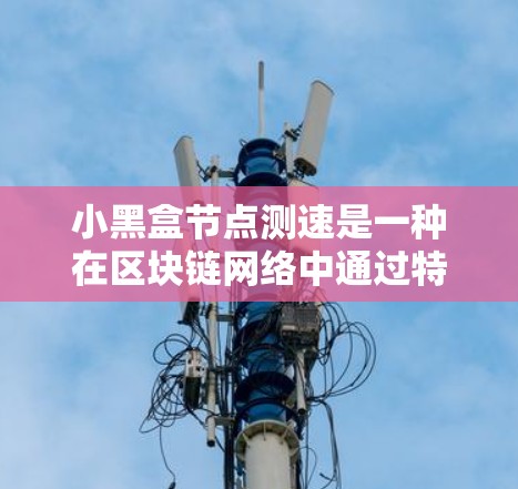 小黑盒节点测速是一种在区块链网络中通过特定节点执行的测速工具，用于监控和优化网络性能。以下是关于小黑盒节点测速的详细分析