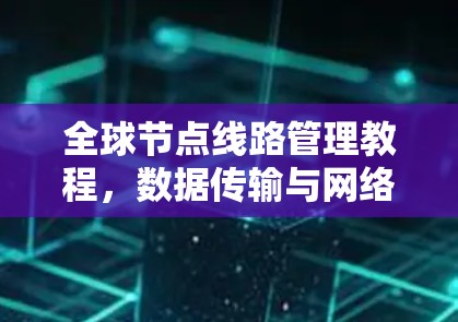 全球节点线路管理教程,数据传输与网络连接之道 全球节点线路管理教程,数据传输与网络连接之道