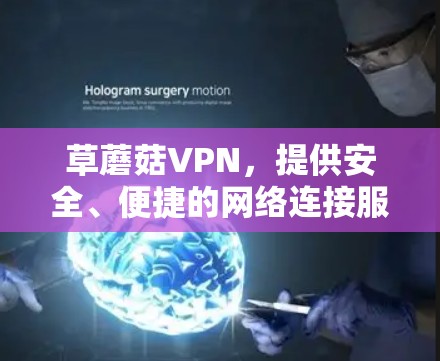 草蘑菇VPN,提供安全、便捷的网络连接服务 草蘑菇VPN,提供安全、便捷的网络连接服务