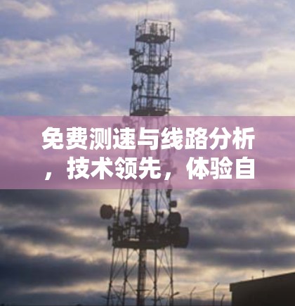 免费测速与线路分析,技术领先,体验自由 免费测速与线路分析,技术领先,体验自由