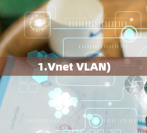 1.Vnet VLAN) 1.Vnet VLAN)