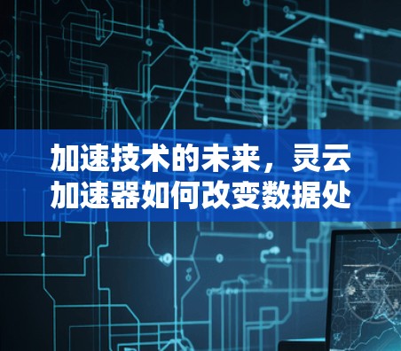 加速技术的未来，灵云加速器如何改变数据处理速度