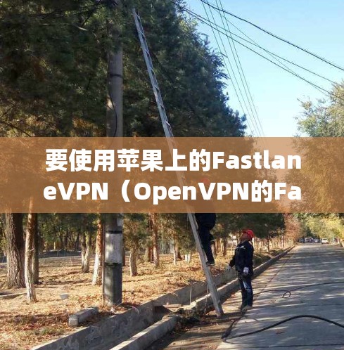 要使用苹果上的FastlaneVPN(OpenVPN的Fastlane版本)可以按照以下步骤进行 要使用苹果上的FastlaneVPN(OpenVPN的Fastlane版本)可以按照以下步骤进行