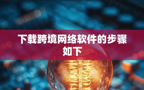 下载跨境网络软件的步骤如下 下载跨境网络软件的步骤如下