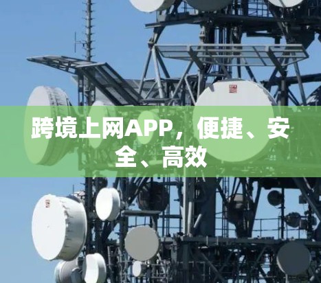 跨境上网APP,便捷、安全、高效 跨境上网APP,便捷、安全、高效