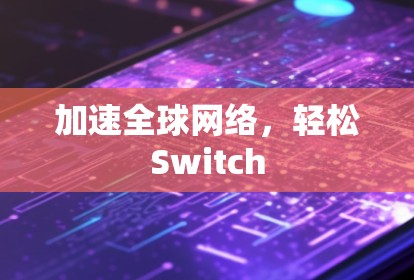 加速全球网络,轻松Switch 加速全球网络,轻松Switch