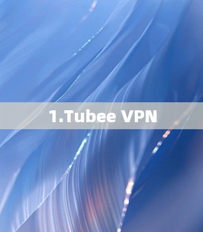 1.Tubee VPN 1.Tubee VPN