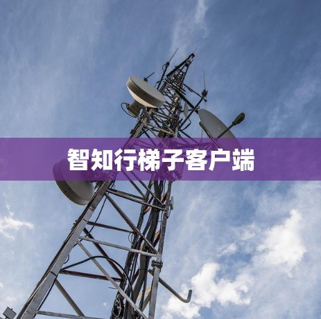智知行梯子客户端